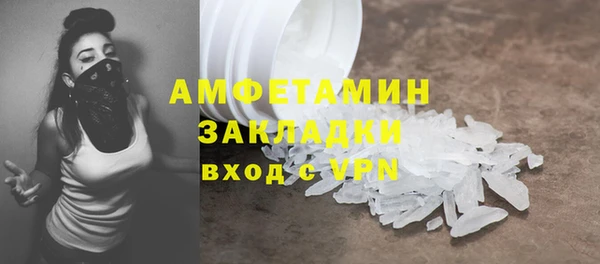 твердый Арсеньев