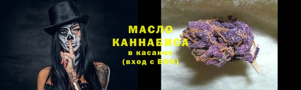 твердый Арсеньев