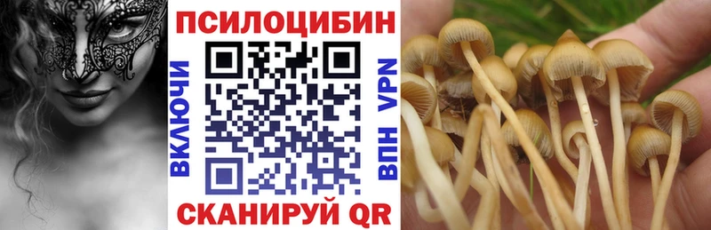 цена наркотик  Бологое  Галлюциногенные грибы прущие грибы 